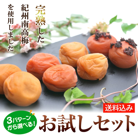 紀州南高梅 食べ比べセット（60g×4）｜自分好みの梅が見つかるミニパック